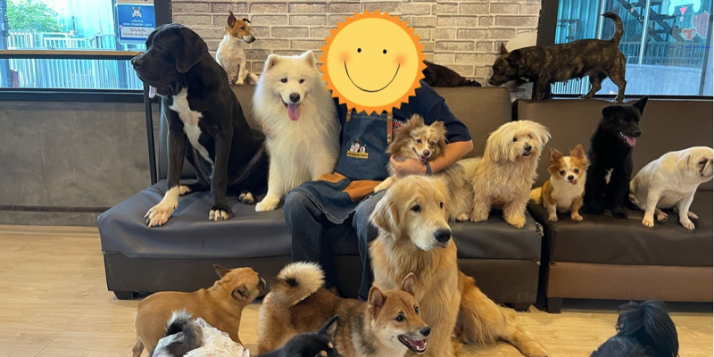 Posts in ทั่วไป